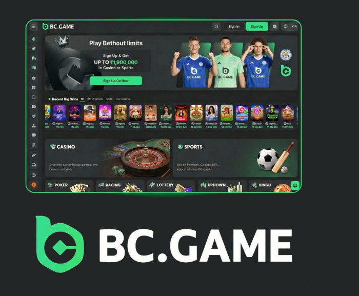 Exploring the Excitement of BC.CO Up and Down Game Exploring the Excitement of BC.CO Up and Down Game